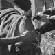 The Rhino’s Annual Haircut: A rhino gets its horn trimmed once a year to protect it from poaching.